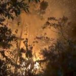 IMG-20260901-WA0105